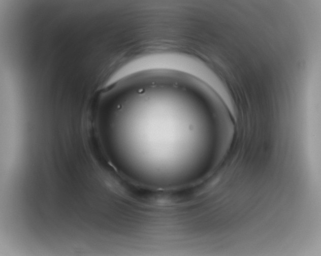 X0000114090264200910131302