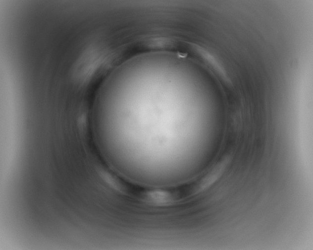 X0000114090265200910131302