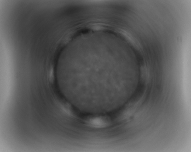X0000114090267200910131302