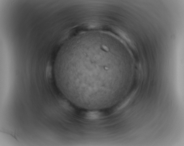 X0000114090269200910131302