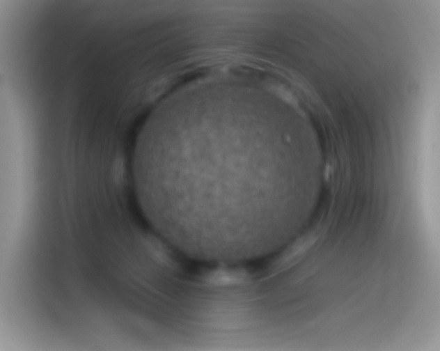 X0000114090270200910131302