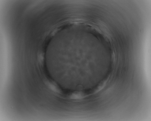 X0000114090271200910131302