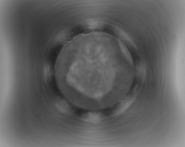 X0000114090272200910131302