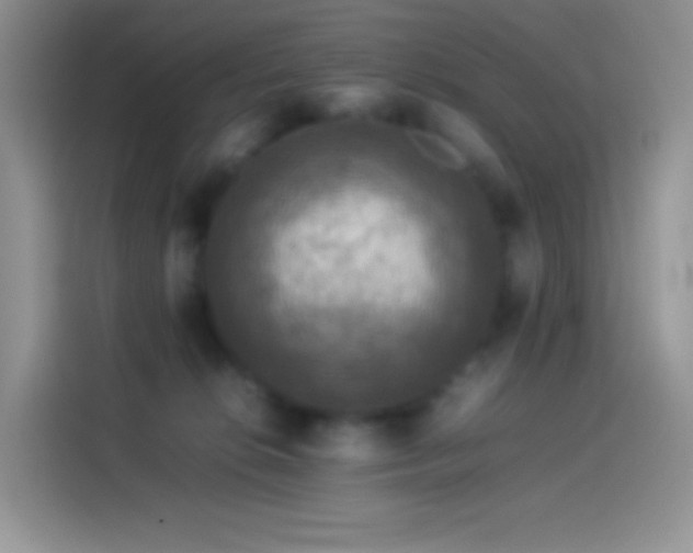 X0000114090276200910131302