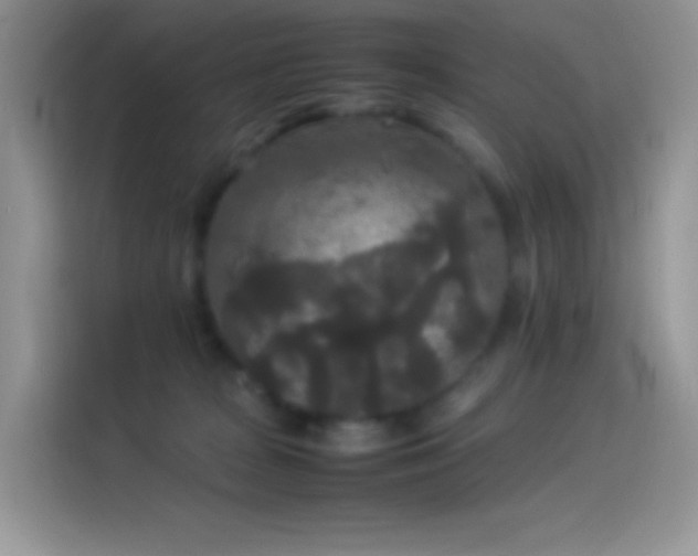 X0000114090277200910131302