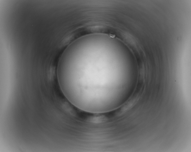 X0000114090278200910131302