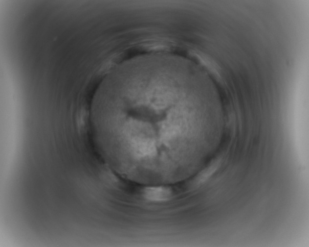 X0000114090281200910131302