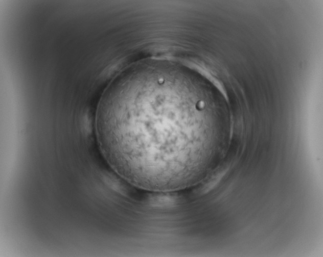X0000114090282200910131302