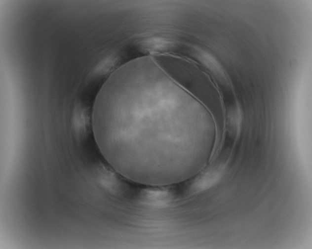 X0000114090284200910131303