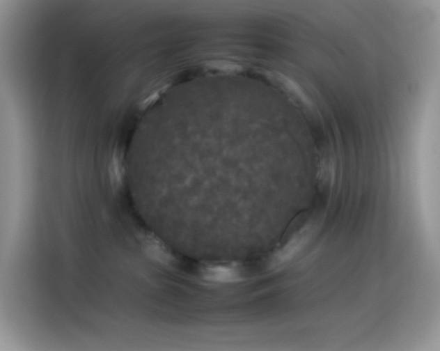 X0000114090285200910131303
