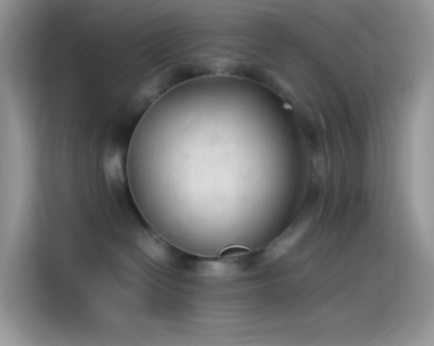 X0000114090286200910131303