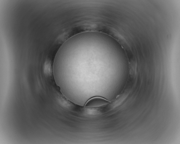 X0000114090287200910131303