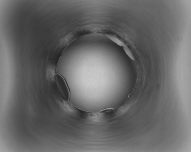 X0000114090288200910131303