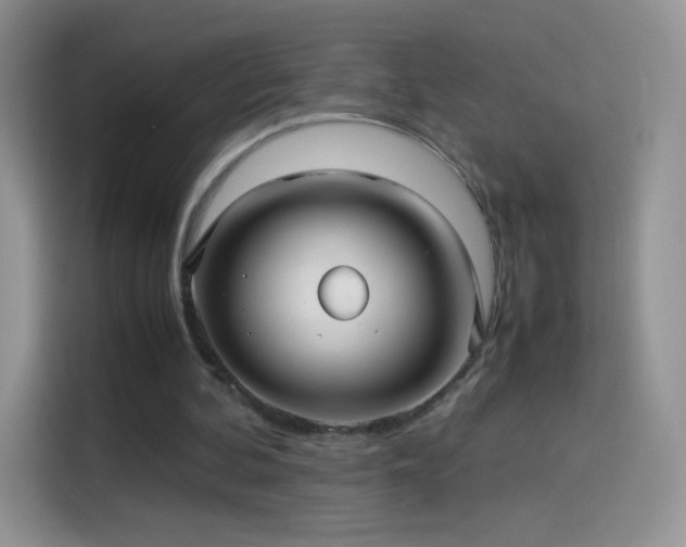 X0000114090292200910131302