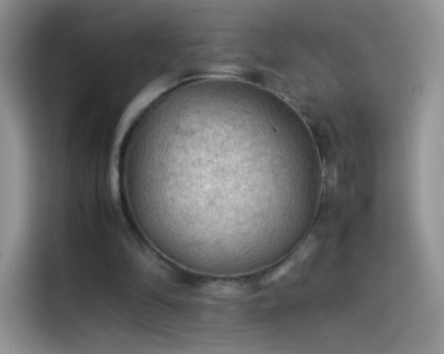 X0000114090294200910131302