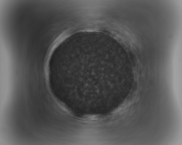 X0000114090295200910131302