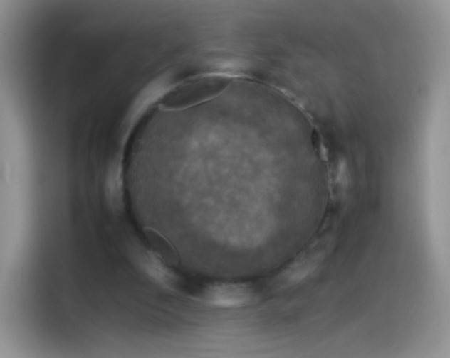X0000114090296200910131302