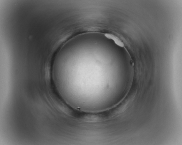 X0000114090299200910131302