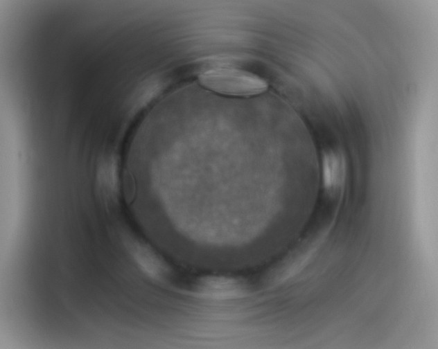 X0000114090300200910131302