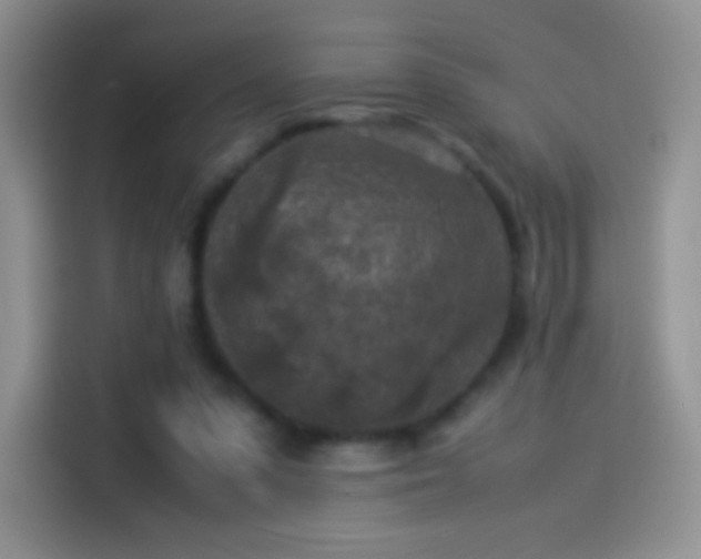 X0000114090303200910131302