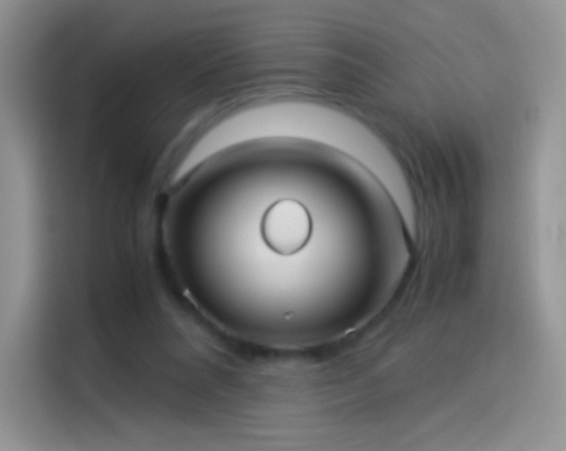 X0000114090304200910131302