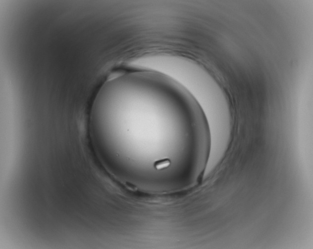 X0000114090305200910131302