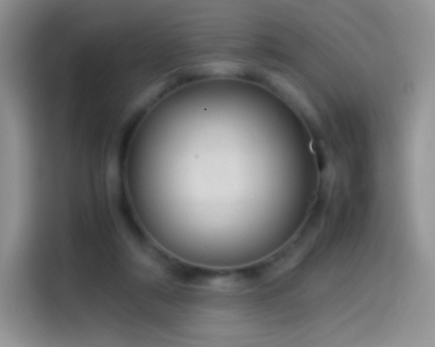 X0000114090306200910131302