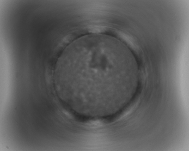 X0000114090307200910131302