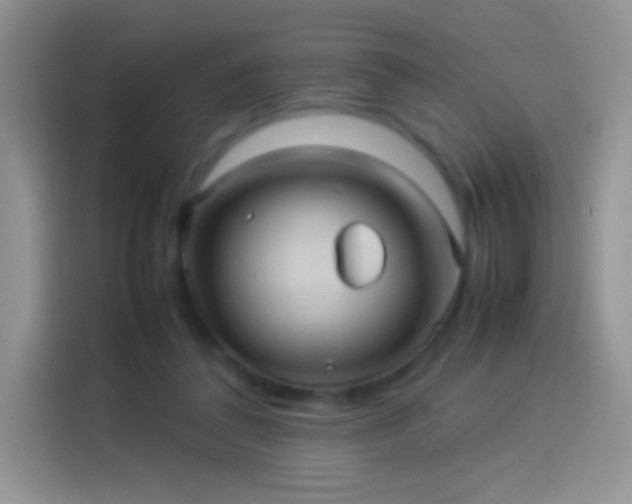 X0000114090308200910131302
