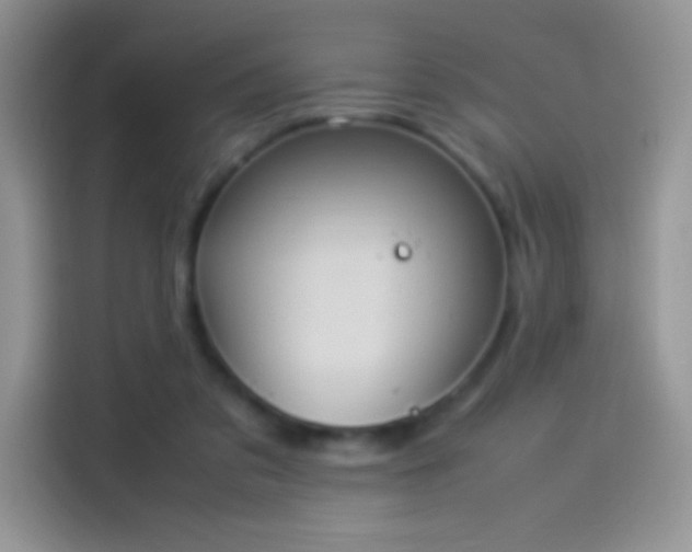 X0000114090309200910131302