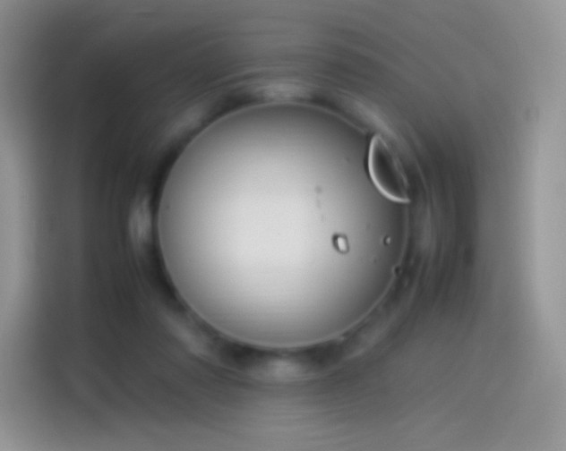 X0000114090310200910131302