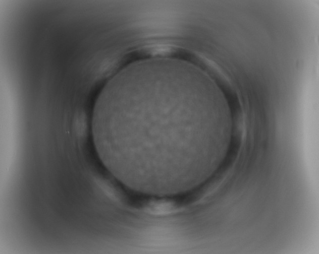X0000114090311200910131302