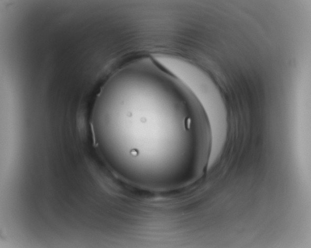X0000114090312200910131302