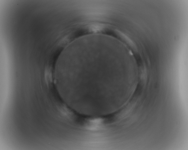 X0000114090313200910131302