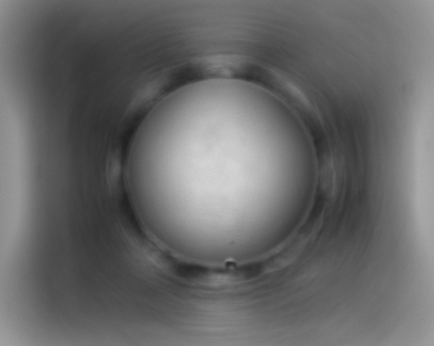 X0000114090314200910131302