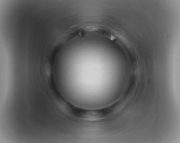 X0000114090315200910131302