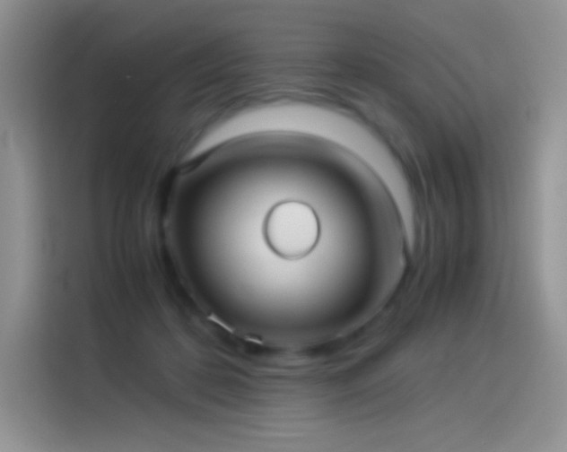 X0000114090316200910131302