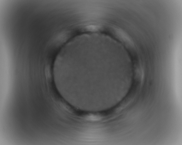 X0000114090317200910131302