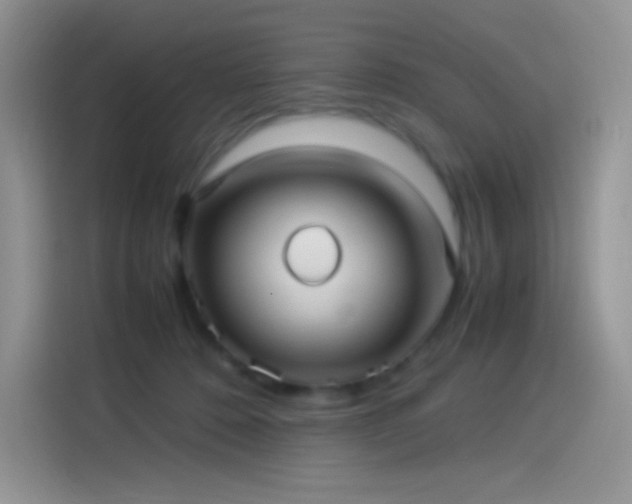 X0000114090320200910131302