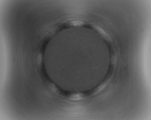 X0000114090321200910131302