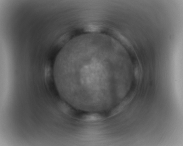 X0000114090322200910131302