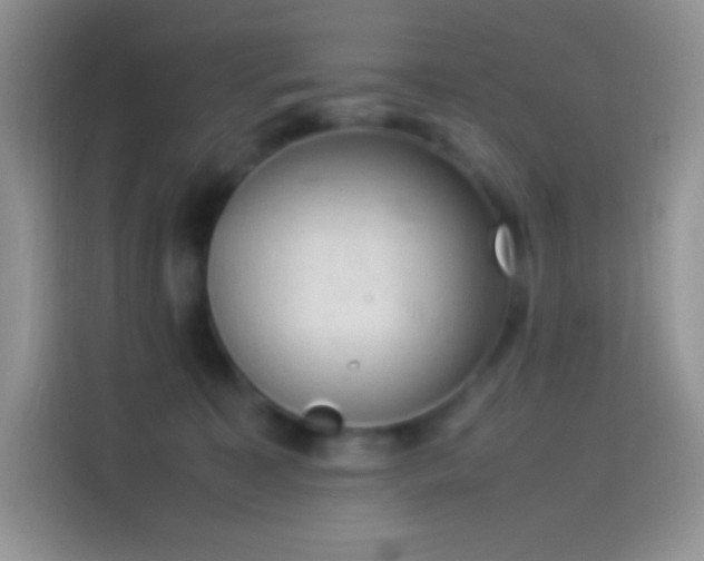 X0000114090323200910131302