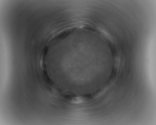 X0000114090324200910131301
