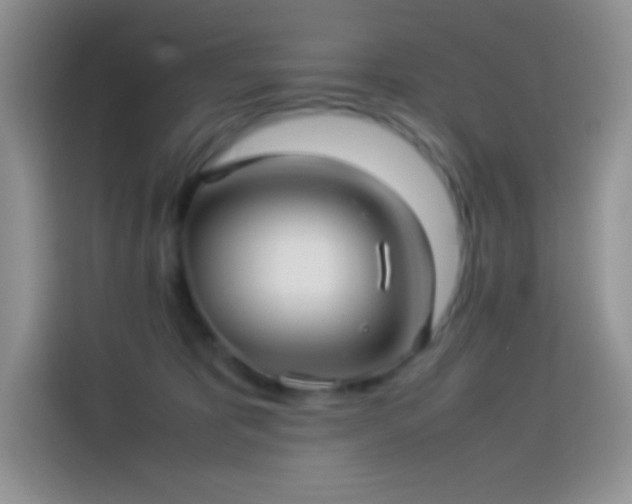 X0000114090325200910131301