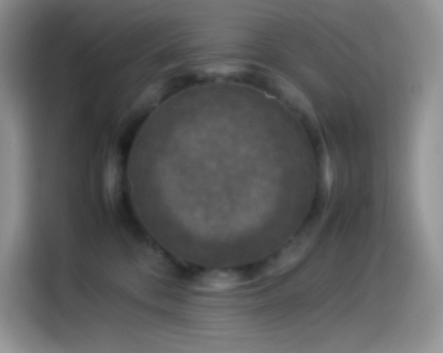 X0000114090328200910131301