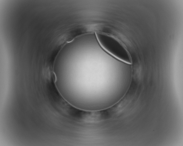 X0000114090329200910131301