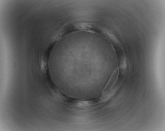 X0000114090332200910131301