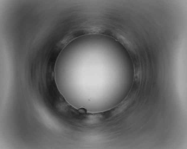 X0000114090334200910131301
