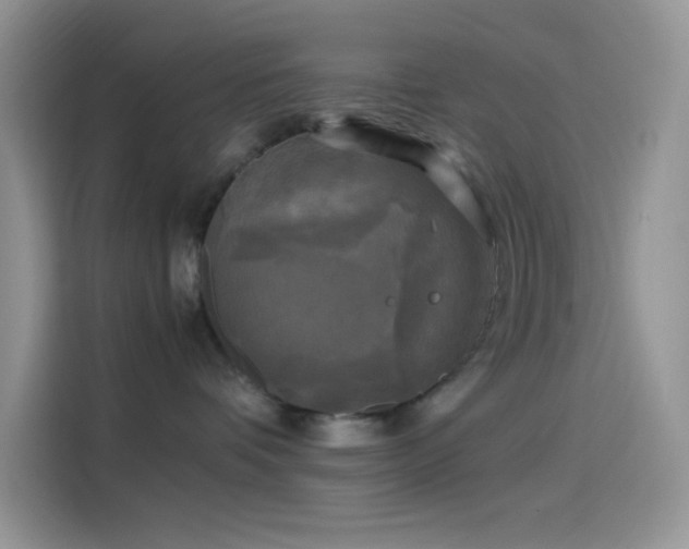 X0000114090336200910131301