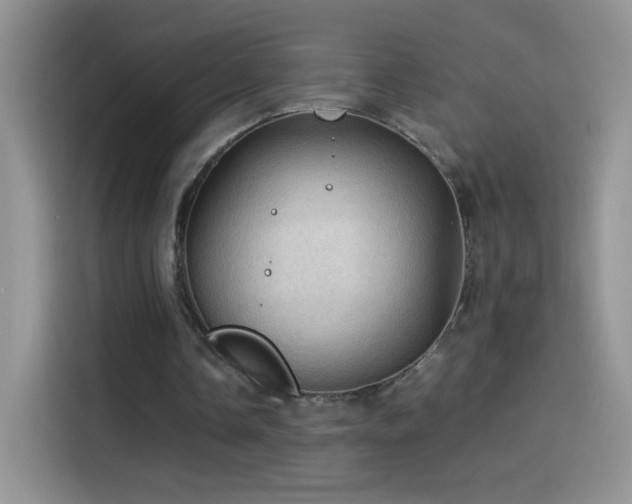 X0000114090338200910131301